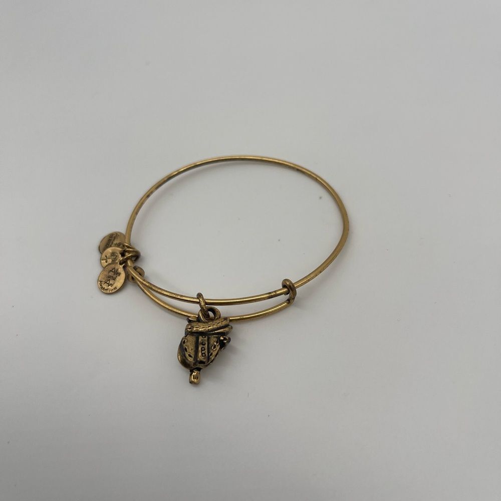 Alex and Ani Saddle Bangle